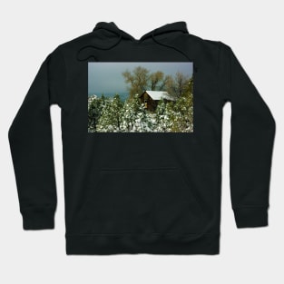 Winter in Pinos Altos Hoodie